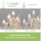 thumbnail image 3 of Bombilla LED Sigalux E12 de 3 W (40 W), regulable, 2700 K, color blanco suave, paquete de 12, 3 of 6