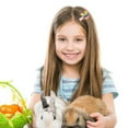 thumbnail image 3 of 12 Pcs Pince à Cheveux Filles Mode Sequins Barrette Accessoires Cheveux, 3 of 10