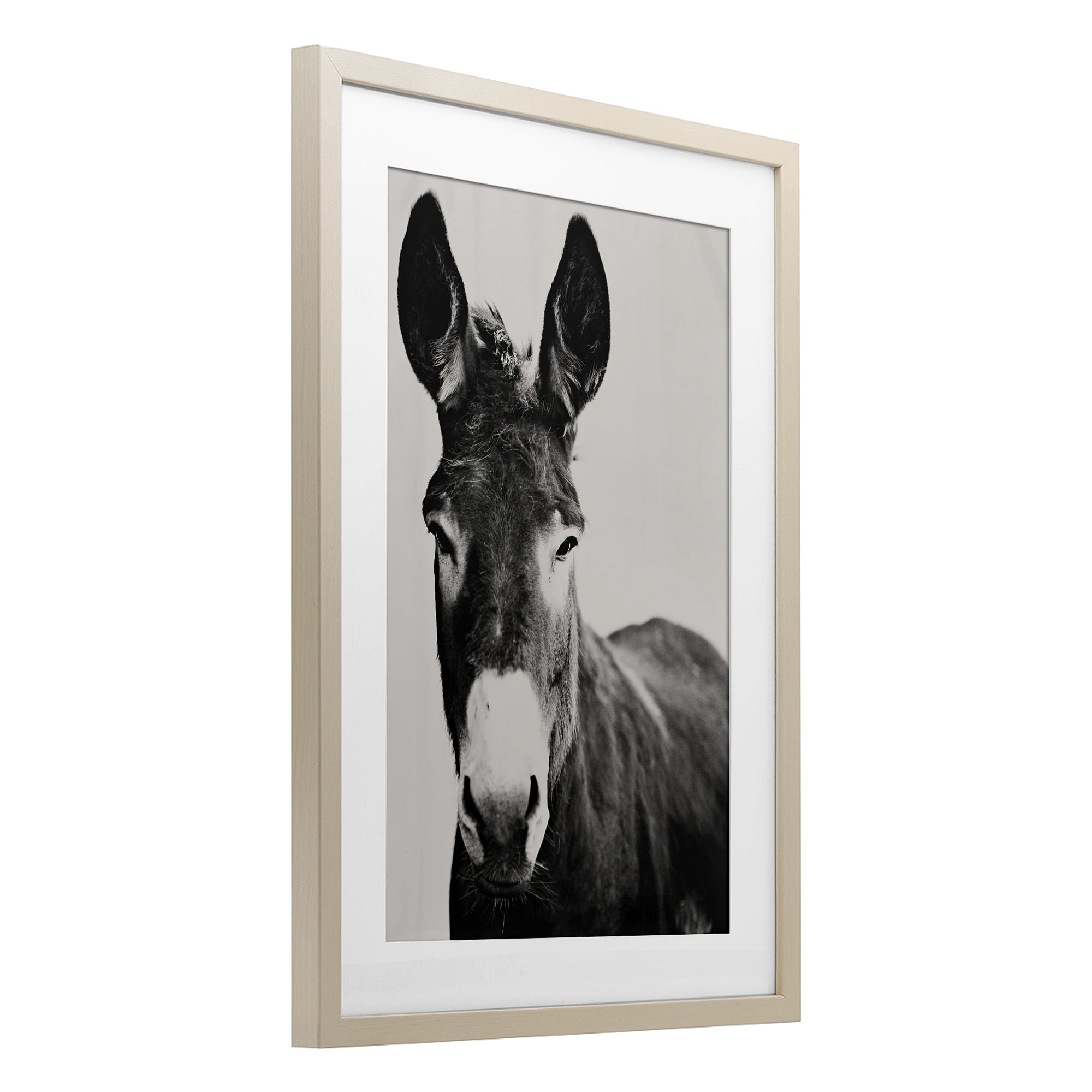 Stupell Industries Franz the Donkey Portrait Birch Framed Print Under Glass, design by Amy Carroll