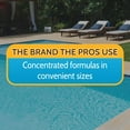 thumbnail image 2 of Pool 408622A Yellowtrine Swimming Pool Algaecide Cleanser, 3 lbs, 2 of 6