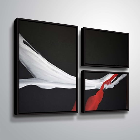 Artwall Swan Wing, 3 Piece Floater Framed Canvas Flag Set by Patricia Coulter
