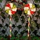 thumbnail image 3 of Paquete de 4 luces navideñas para exteriores Fiudx 80 luces LED de piruleta de menta decoraciones de bastón de caramelo cálido, 3 of 5