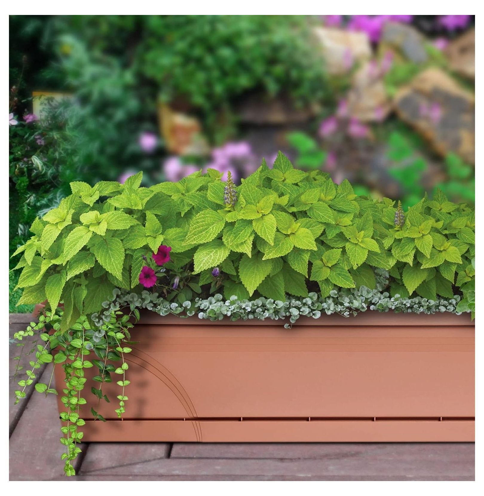 36 Inch Rectangular Plastic Medallion Hanging Windowsill and Garden Box Planters with Drainage Holes, Terracotta (2 Pack)