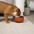 thumbnail image 5 of Waggo Uplift Cuenco De Cerámica Para Perros Para Razas Pequeñas, Medianas Y Grandes, Pesado Y Duradero, Plato De Comida Y Agua Para Mascotas, Apto Para Lavavajillas, Comedero Elevado Moderno (Terracot, 5 of 5