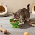 thumbnail image 7 of FEOLGEHLY Elevated Cat Bowls, Dog Feeding Bowls, Raised Cat Food and Water Bowl for Indoor Cats, Pet Food Bowls for Small Medium Cats Dogs and Puppies, Tilted Design, Dishwasher Safe, Green, 7 of 7