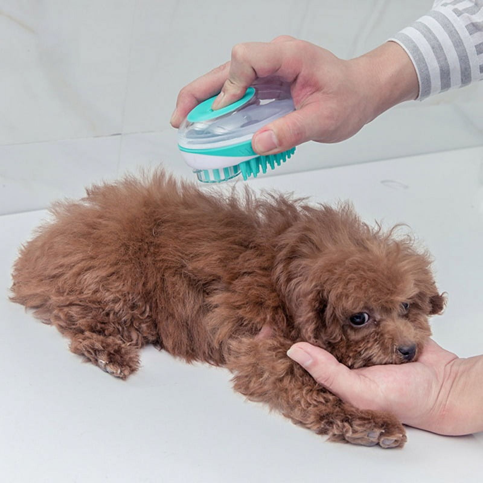 Hugs Pet Products Massaging Pet Palm Brush – Vet Selected at Doolittle's  Pet Products
