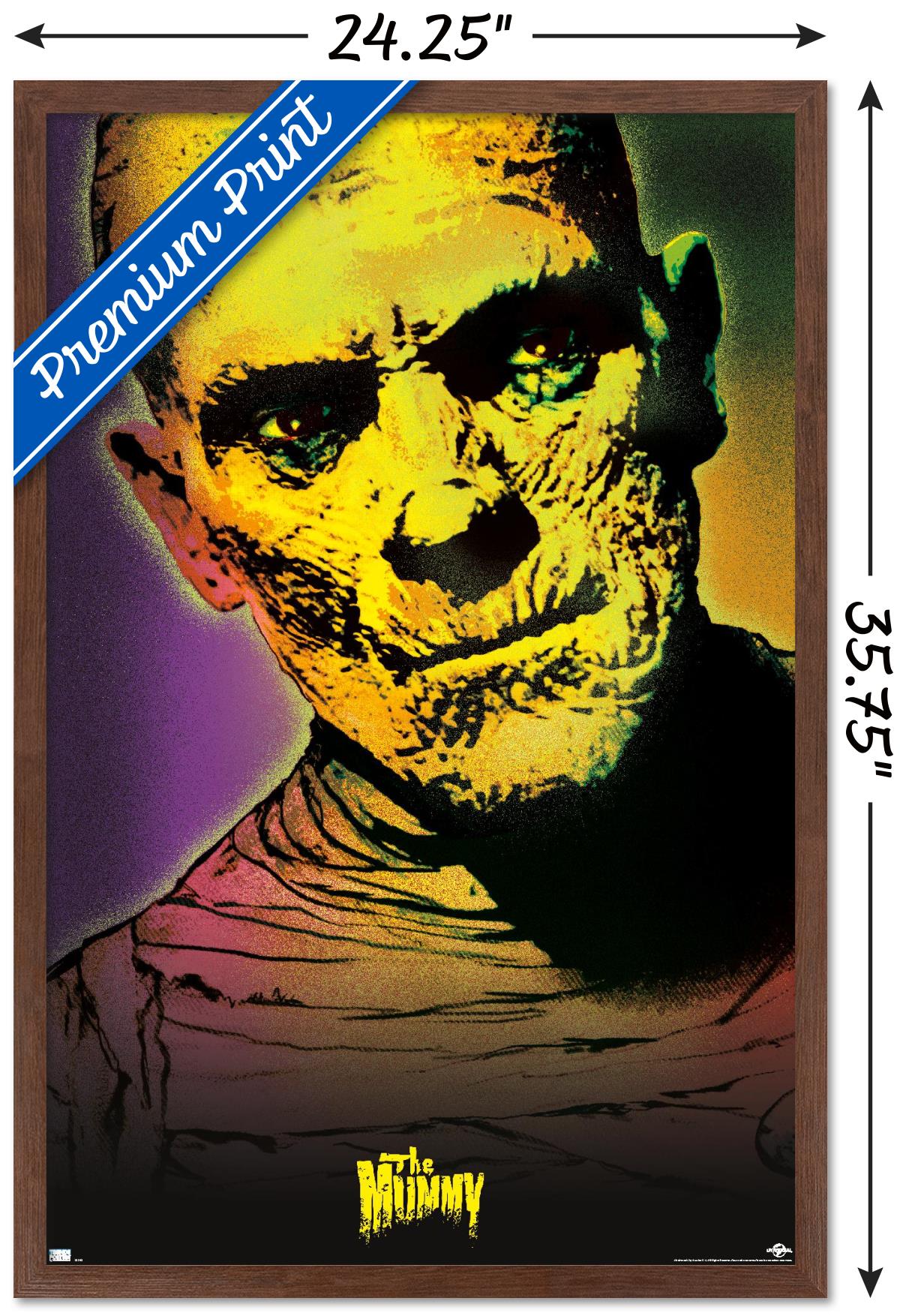 The Mummy - Close-Up Wall Poster, 22.375" x 34" Framed