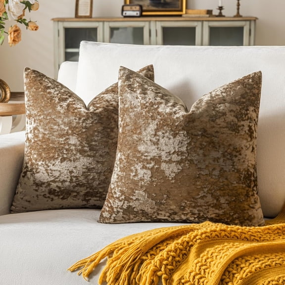 22×22 Inch Velvet Throw Pillow Cover 2-Pack Skin-Friendly Soft Cushion Cover for Home Sofa Bed Living Room Bedroom Apartment Decor