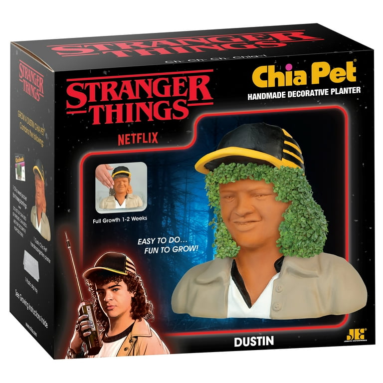 Chia Pet, Stranger Things Dustin Chia Pet, Handmade Decorative