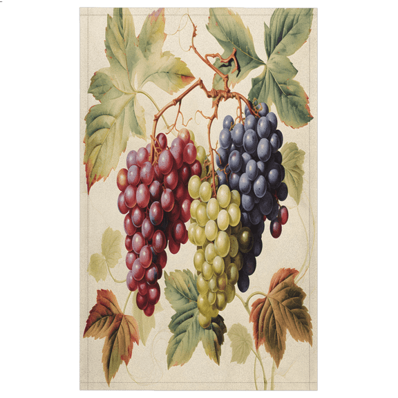 Qzaxky Colorful Grapes 2 Pack Kitchen Towels Soft and Super Absorbent Dish Towels Kitchen Tea Towels Hand Towels