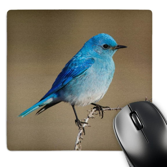 3dRose, Mountain Bluebird, MousePad