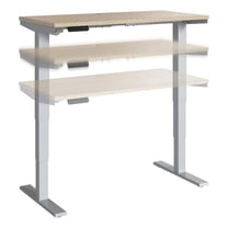 Bowery Hill 48" Engineered Wood Adjustable Standing Desk in Natural Elm/Silver