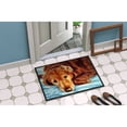 thumbnail image 4 of Carolines Treasures AMB1040JMAT Golden Retriever by Tanya and Craig Amberson Door Mat Indoor Rug or Outdoor Welcome Mat, 4 of 4