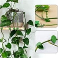 thumbnail image 4 of 80 Piezas Clips de FijacióN de Pared para Plantas Trepadoras Fijador de Plantas, Vides, JardíN, Hoja Verde, Clips de Pared para Plantas, Soporte de Vides para DecoracióN de Pared, 4 of 5
