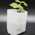thumbnail image 3 of 500Pcs Bolsas de Vivero No Tejidas Biodegradables Cultivo Plantas Macetas PláNtulas Tela 3.15X3.94 Pulgadas, 3 of 5