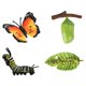 thumbnail image 2 of Juego de plástico realista Macarena desarrollo preescolar animales crecimiento, 2 of 8