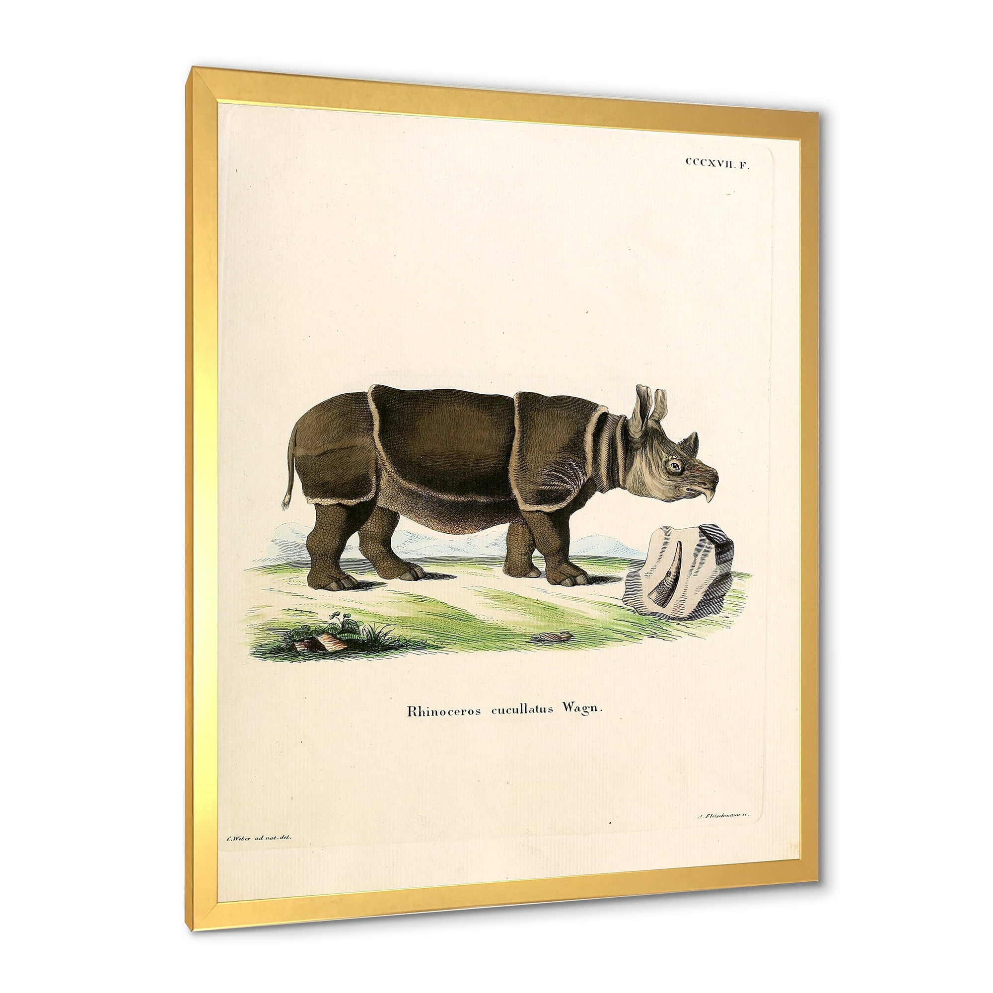 Designart 'Ancient Rhinoceros' Farmhouse Framed Art Print