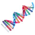 thumbnail image 3 of KAKOWELY gene models DNA Models Double Helix Structure Models DNA Double Human Gene Science Popularization Assembling Experimental Equipment For DNA Assembling Teaching, 3 of 5
