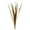 Aspen Gold, variant on Vickerman 18-30" Natural Snake Grass. Includes 36 Stems (3 - 12 Stem Bundles), Dried