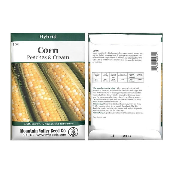Peaches & Cream Hybrid Corn Garden Seeds - Non-GMO Vegetable