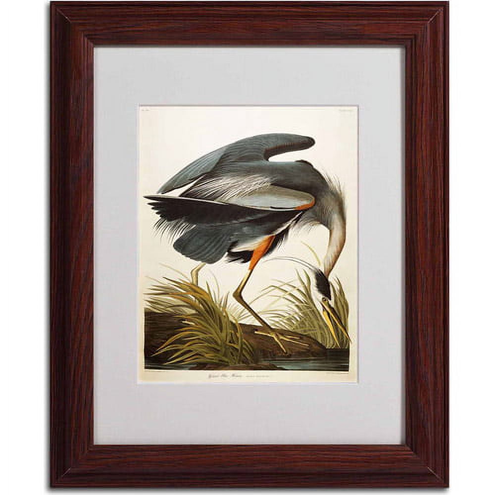 Trademark Fine Art "Great Blue Heron" Canvas Art by John James Audubon, Wood Frame