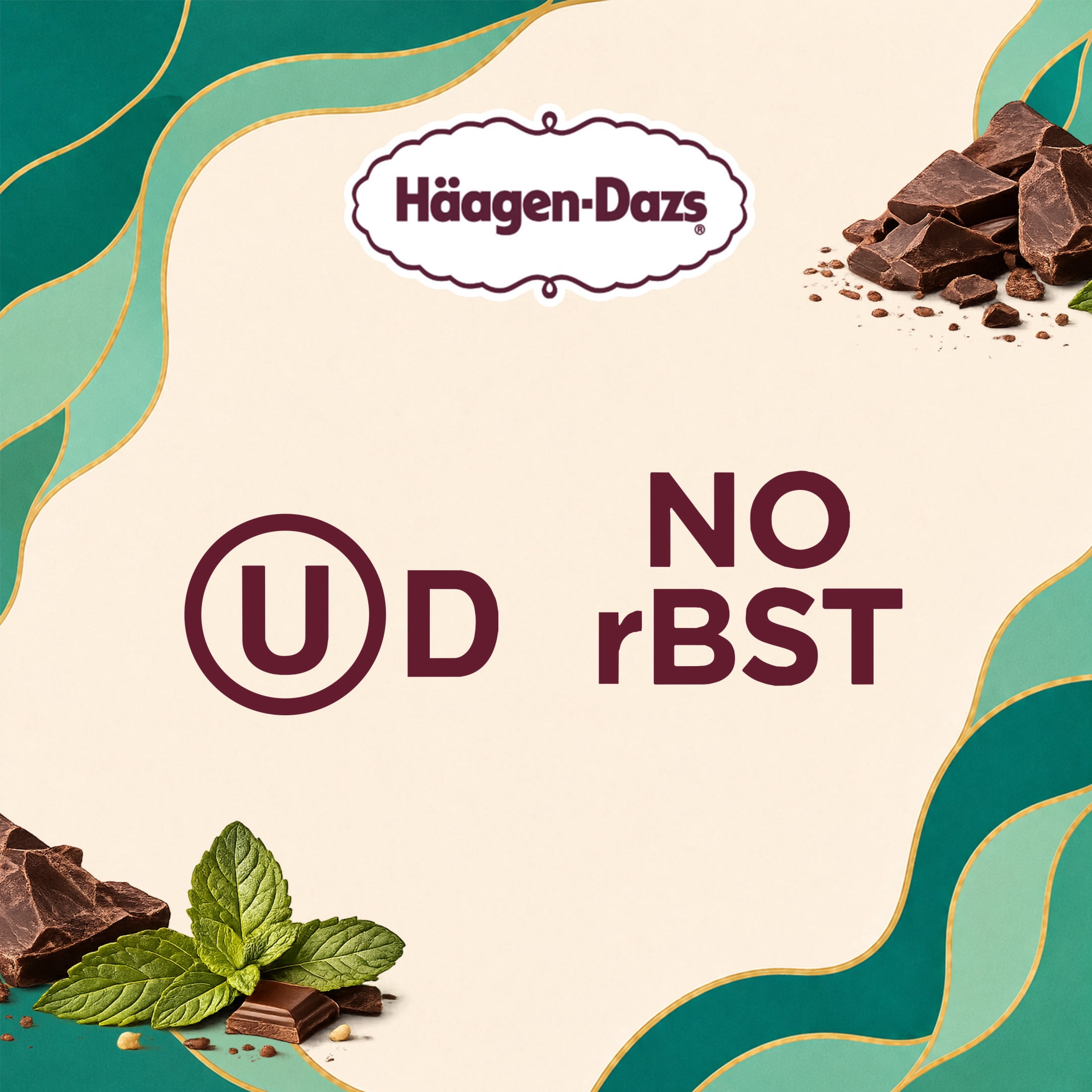 Haagen Dazs Mint Chip Ice Cream, Gluten Free, Kosher, 14 oz