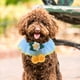 thumbnail image 1 of Hytrove Pañuelo Bandana Para Mascotas Con Ajustable Y Estilo Moderno Para Perros Y Multicolor, 1 of 6