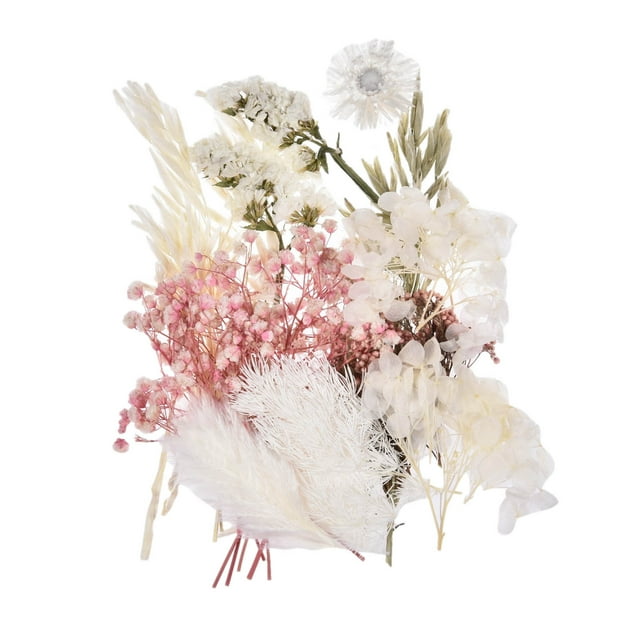Dried Pressed Flowers Dried Flowers Leaves Bulk for DIY Candles