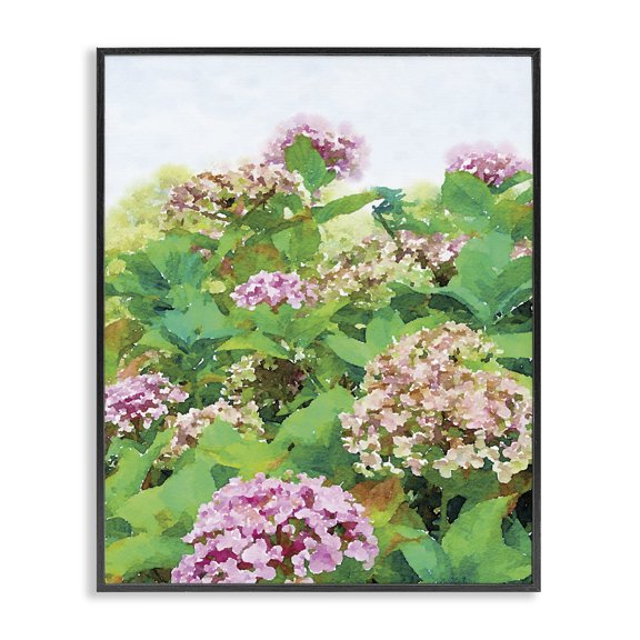 Stupell Industries Farmhouse Pink Geranium Bushes In Field Clear Sky Black Framed Giclee Art, 11 x 14, by Emily Navas