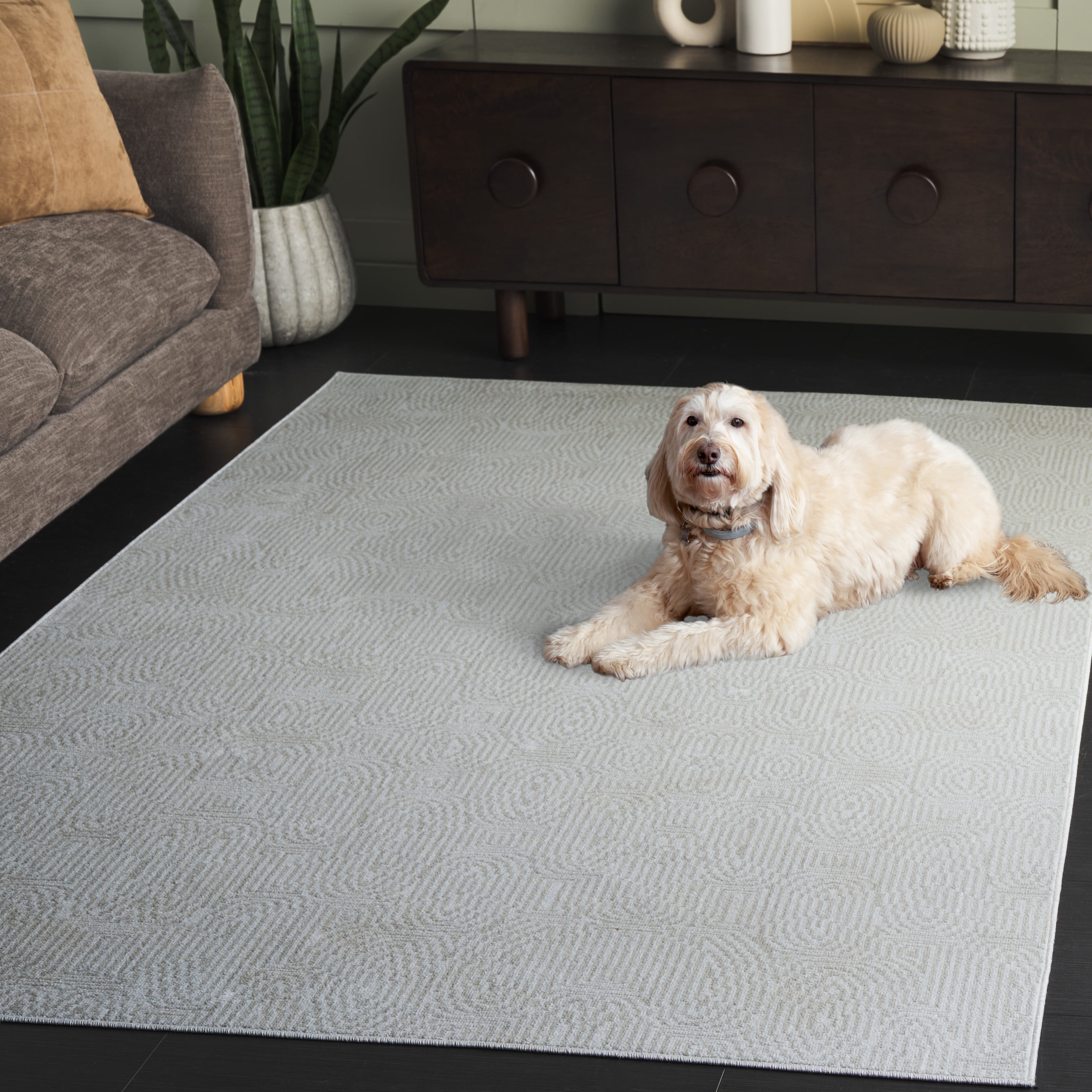 SAFAVIEH Bayside Hubert Texture Polyester Machine Washable Area Rug, Ivory/Light Gray, 4' x 6'