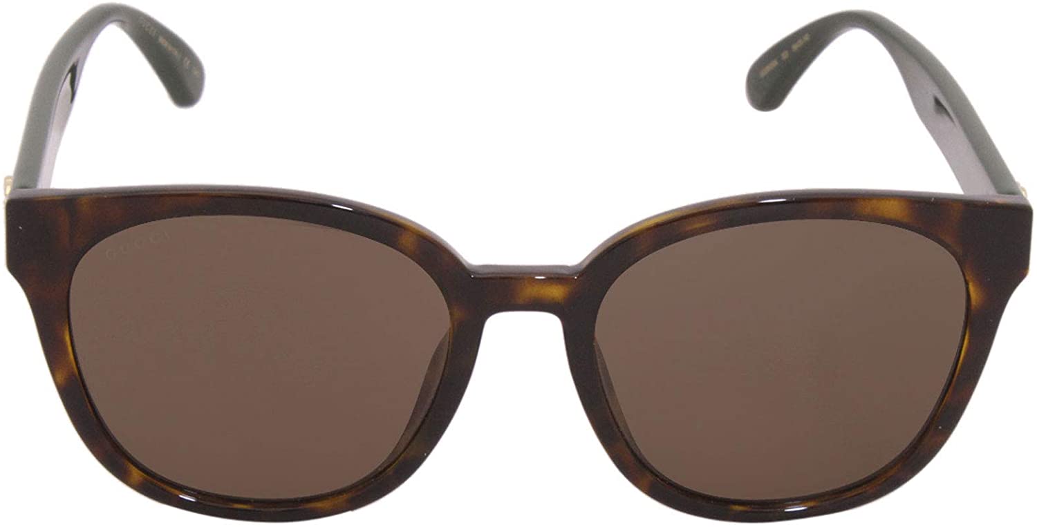 Sunglasses Gucci GG 0855 SK- 003 Havana / Brown Green
