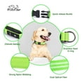 thumbnail image 6 of PcEoTllar Flashing LED Dog Collar - Waterproof Rechargeable for Night Walking Light up Adjustable Safety Dog Collar for Small Dogs (Green), 6 of 10