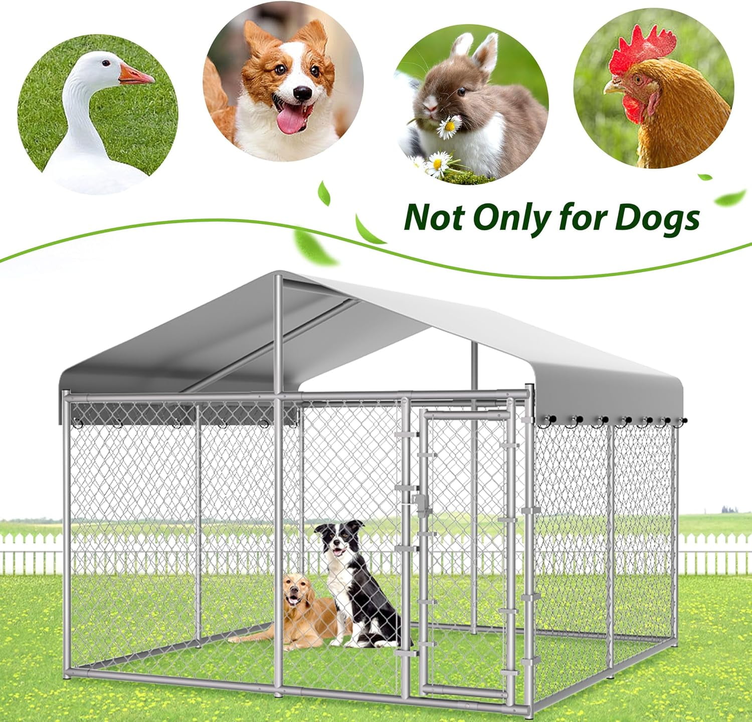 HITTITE Extra Large Outdoor Dog Kennel, 10x10x6.56ft Anti-Rust Dog Kennel Outside with Roof, Galvanized Chain Link Dog Runs for Outside with Secure Lock