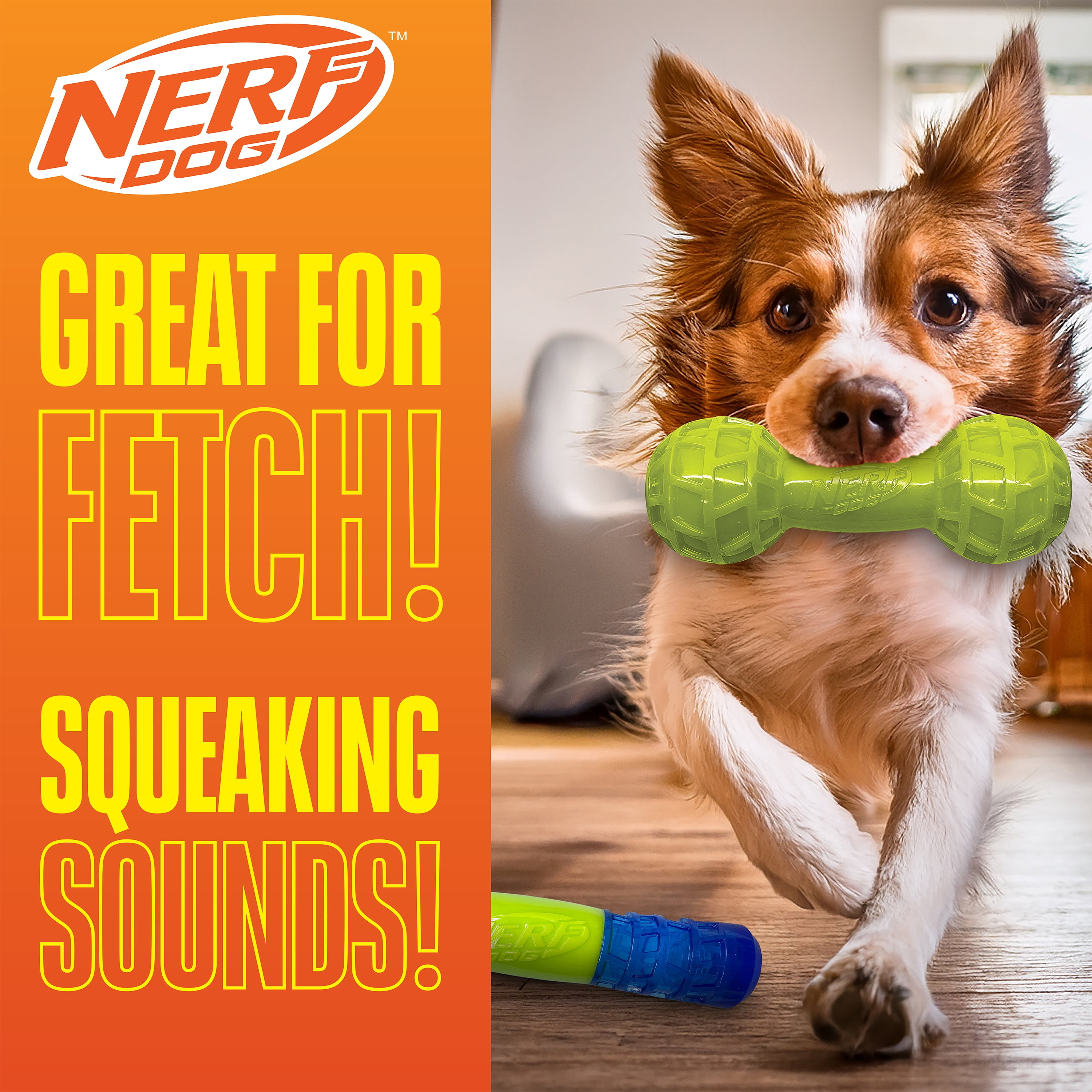 Nerf Dog TPR Squeak Bars Variety, 2 Pack