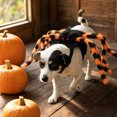 thumbnail image 2 of Halloween Pet Spider Costume Imitation Furry Spider Leg Harness Cosplay Outfit Funny Claasic Dress-Up Accessory for Small Dogs & Cats, 2 of 3