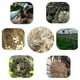 thumbnail image 2 of 75g/400g Sphagnum Moss Moisturizing Organic Fertilizer For Orchid Phalaenopsis, 2 of 4