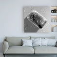 thumbnail image 3 of Trademark Fine Art 'Black & White Soap' Canvas Art by Roderick Stevens, 3 of 3