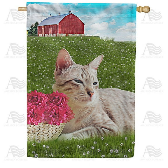 America Forever Spring Kitty House Flag 28 x 40 inches Double Sided Country Farm, Landscape, Dahlia, Red Flower - Seasonal Yard Lawn Outdoor Decorative Spring Barn House Flag
