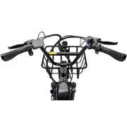 NAKTO S02 400 lbs Capacity Electric Tricycle for Adults, 48V 16Ah Battery, 750W Peak Rear Hub Motor, 60-Mile Long Range Electric Trike, Dual Disc Brakes, Green