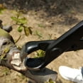 thumbnail image 2 of Composite Steel  Sharpness And Ice Calcination Branch Cutter, Bonsai Cutter, For Park Trimming Bonsai Twigs Flower Cutting Garden, 2 of 8