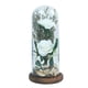 thumbnail image 1 of Regalo navideño para mujeres: rosas brillantes con cúpula de cristal, 1 of 5