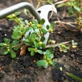 thumbnail image 4 of Rewenti Wooden Handle 2 In 1 Weeding Hoe and Rake Garden Remover Tool, 4 of 8