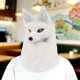 thumbnail image 5 of Sombrero de cabeza de , sombrero de cabeza de animal, accesorio cómodo, gorra para disfraz, regalo de cumpleaños, fiesta temática, juego de Blanco, 5 of 10