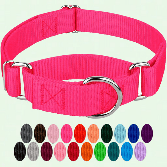 Hot Pink Martingale Dog Collar - Adjustable Nylon Collar for Medium Dogs (1 Inch Width)