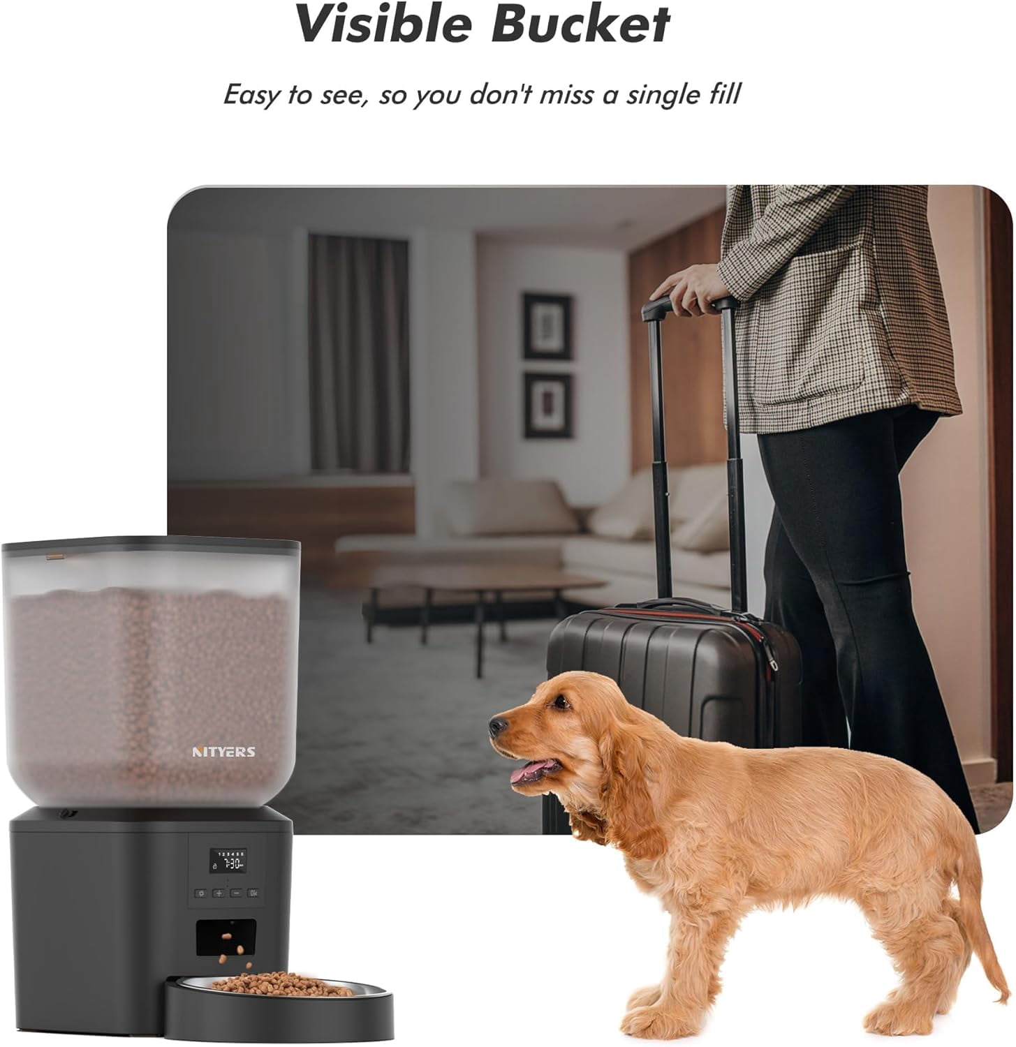 Automatic Cat Dog Feeder 8L Large Capacity with LCD Screen, Timed Dispenser for Dry Food, Stainless Steel Bowl, Voice Recording, Dual Power Supply