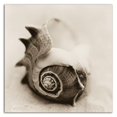 thumbnail image 3 of 18" x 18" La Playa No2 by Alan Blaustein - Wall Art Print on Canvas Fabric Gray, 3 of 3