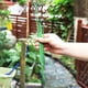thumbnail image 4 of 30 Piezas de Estacas de Soporte para Plantas con 30 Piezas de Clips para Plantas Soporte Floral para Flores de JardíN Estaca de Soporte de un Solo Tallo, 4 of 5