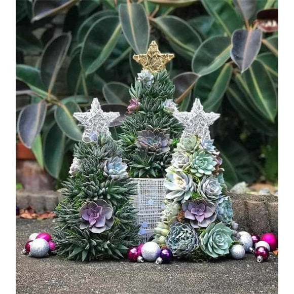 QIPOPIQ Succulent Gift Christmas Surprise Tree Christmas Decoration Winter Gift Clearance New Year