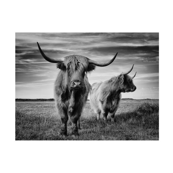 Trademark Fine Art Stephane Pecqueux I Am The Boss Canvas Wall Art