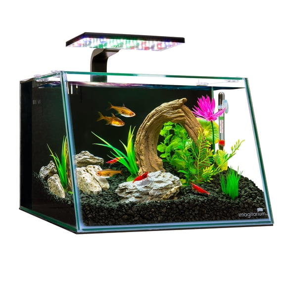 Imagitarium Angled Front Glass Aquarium Kit with Lighting Filtration & Accessories 5.5 Gallons